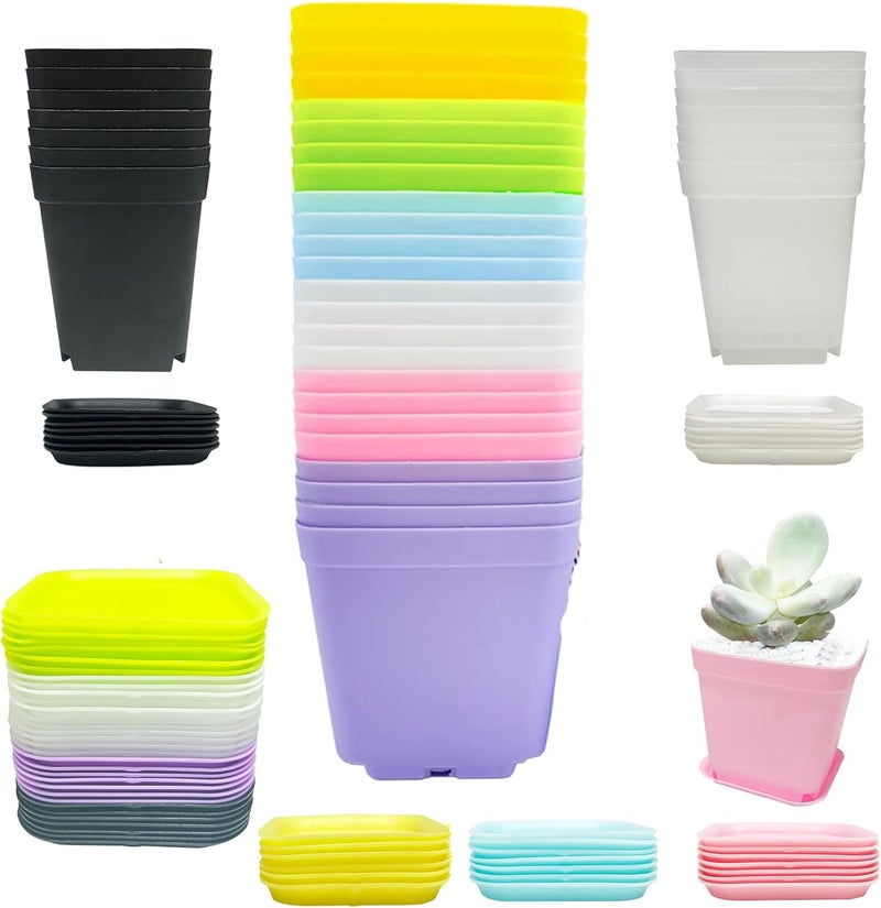 Jgalnim 56PCS 3inch Plastic Nursery Pots,Square Plants Seedling Pots,Multicolor Small Transplanting Flower Pots for Indoor Outdoor,Succulents,Office Home Garden and Balcony Decor(8 Colors) - Image 1